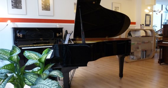 Laden von Piano Leisse mit Klavieren und Flügeln