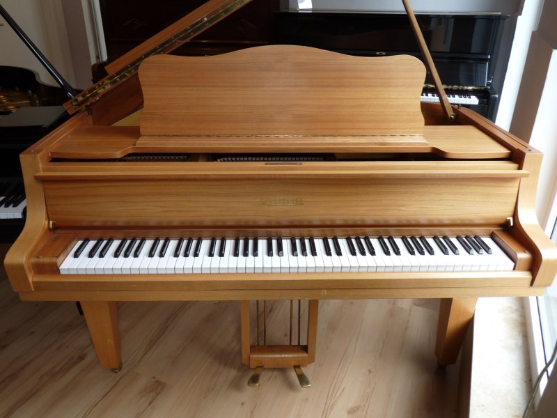 Flügel Schimmel 170 cm