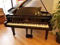 Flügel Steinway & Sons S