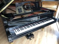 Flügel Grotrian - Steinweg ART CASE 220 cm